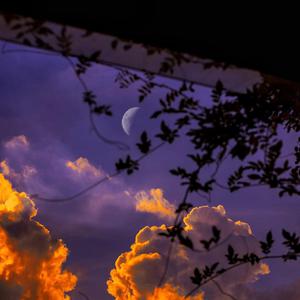 成人亚洲性情网站WWW在线观看
